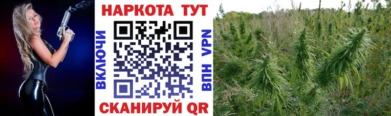 Купить наркоту Полярные Зори Alpha-PVP  Меф мяу мяу  Гашиш 