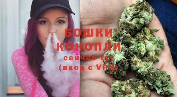 мдпв Новодвинск